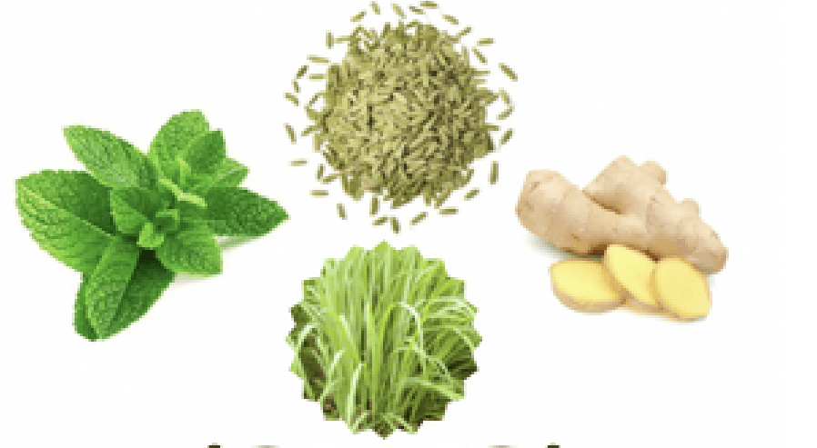 Menthe, Fenouil, Citronnelle & Gingembre