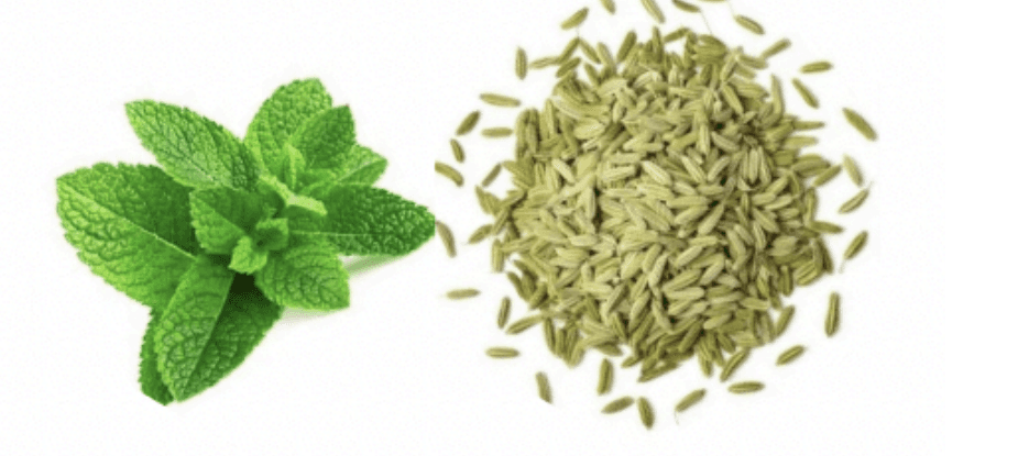 Menthe & Graines de fenouil