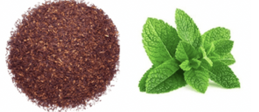 Rooibos & Menthe