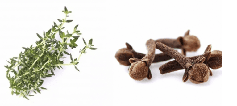 Thym & Clou de girofle