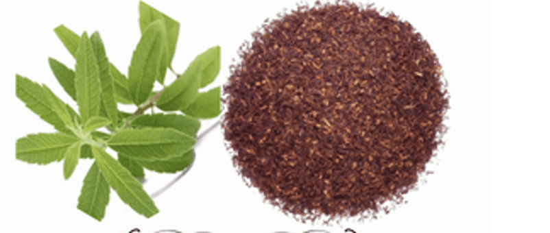 Verveine & Rooibos