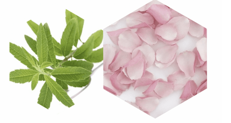 Verveine & Pétales de rose
