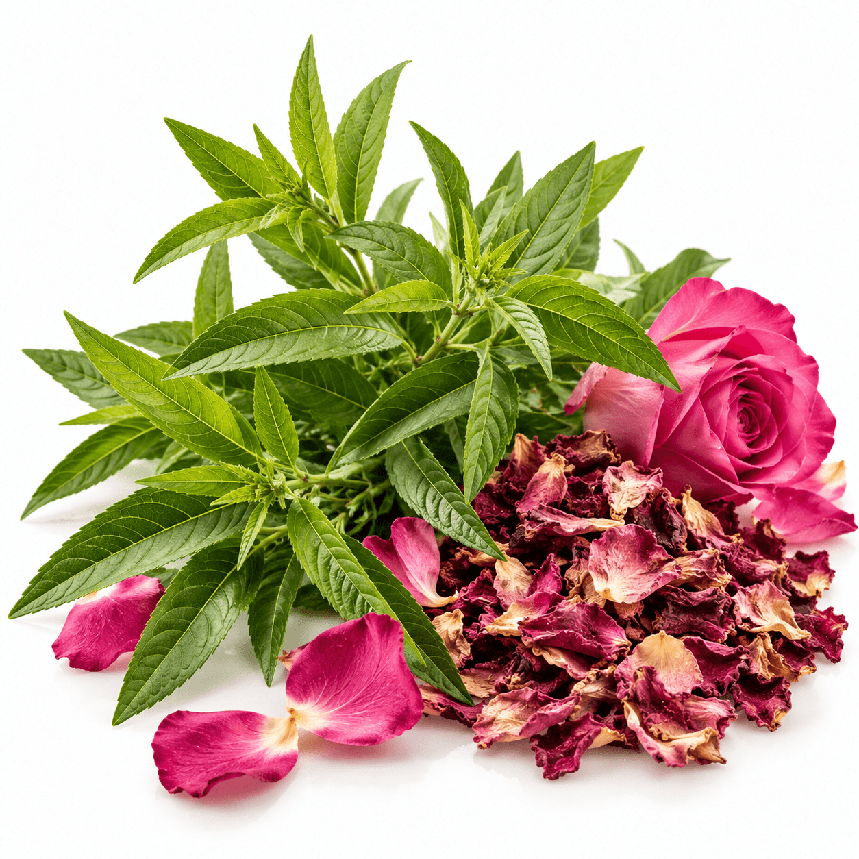 Verveine & Pétales de rose